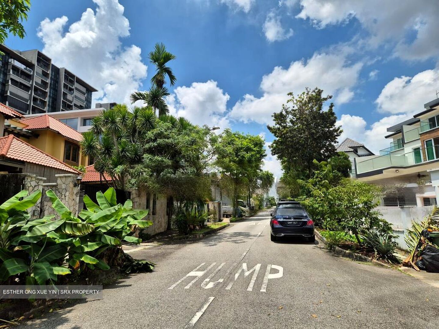 Serangoon North Avenue 1 (D19), Semi-Detached #460525181